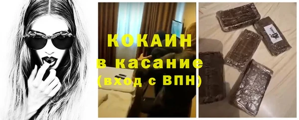 индика Абаза