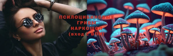 индика Абаза