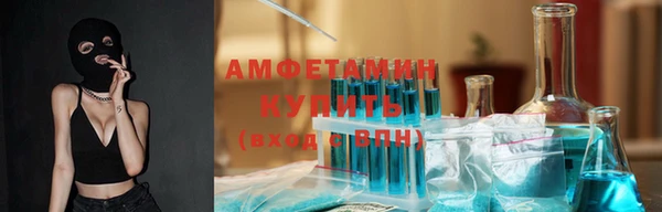 индика Абаза