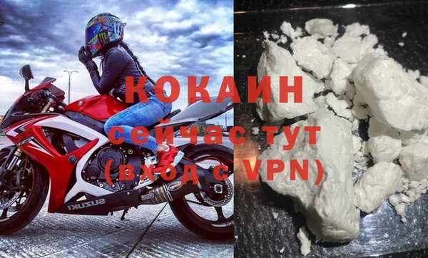 индика Абаза