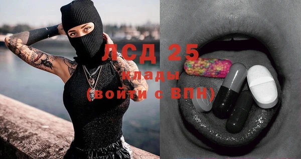 индика Абаза