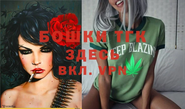 индика Абаза