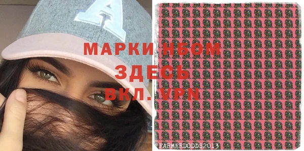 индика Абаза