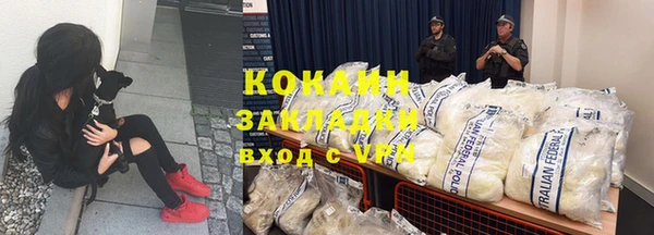 индика Абаза