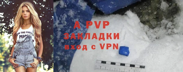 индика Абаза