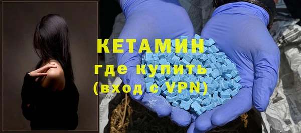 индика Абаза