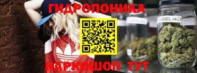 круглые Краснознаменск