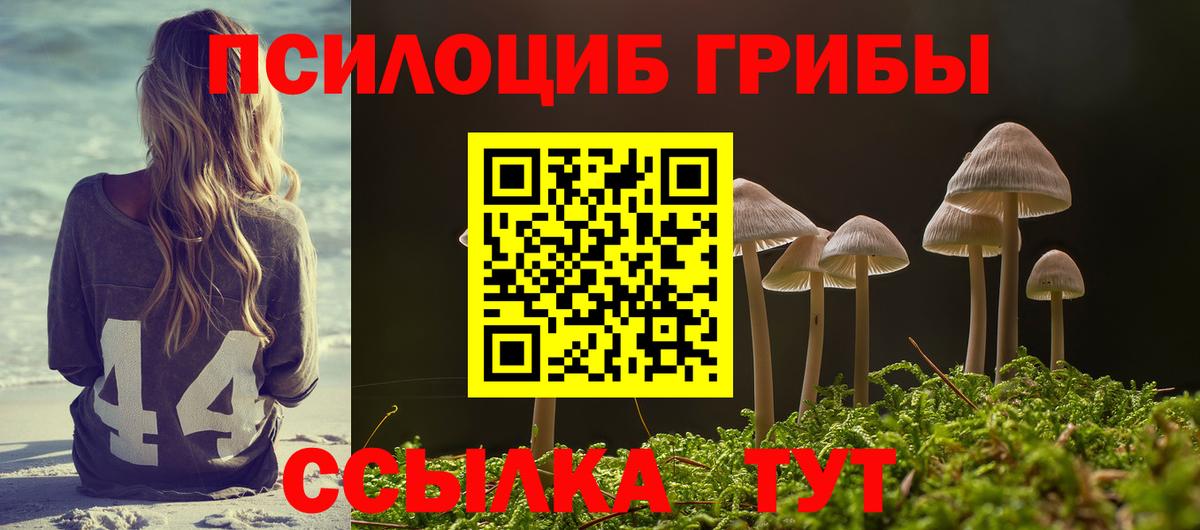 Галлюциногенные грибы Psilocybine cubensis  Вход с VPN  Заволжье 