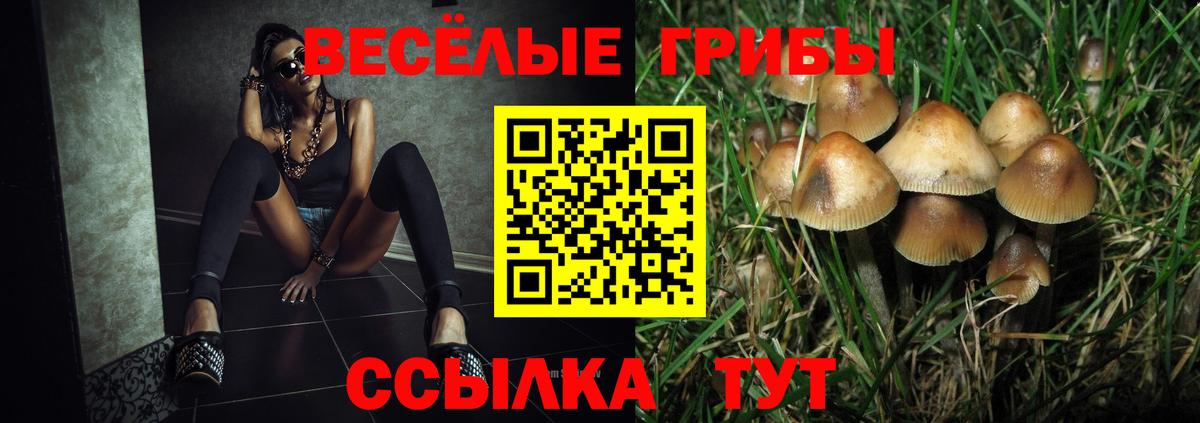 Псилоцибиновые грибы Psilocybe Заволжье